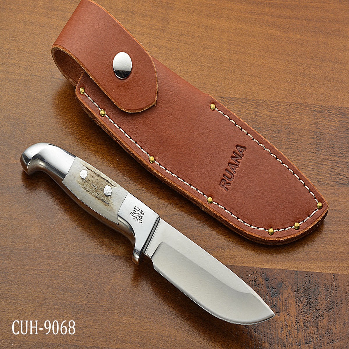 6 BD Skinner
