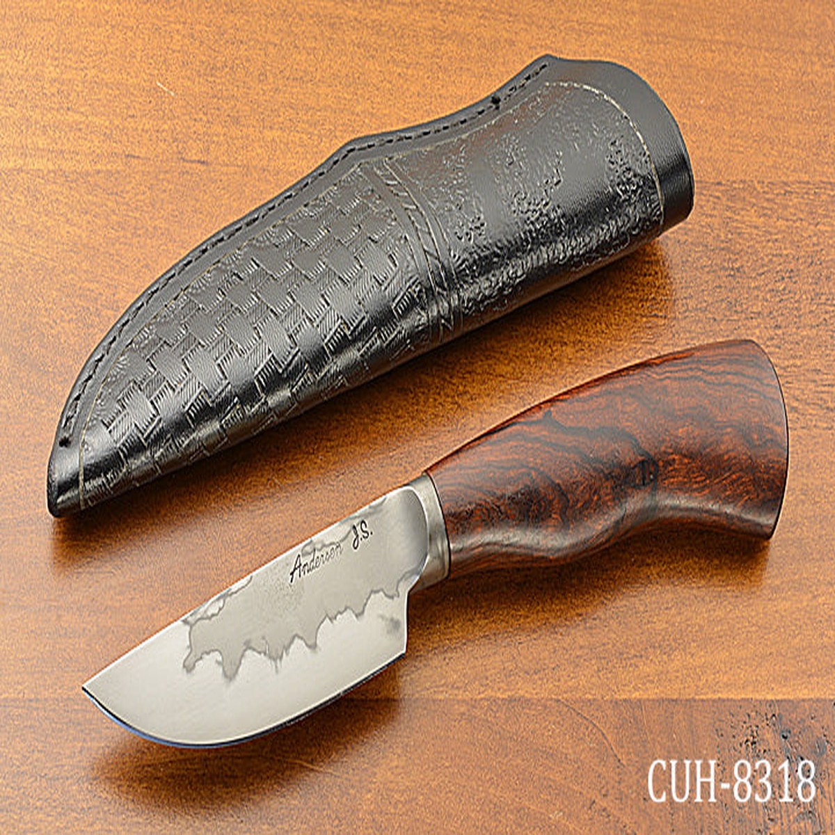 12 Integral Skinner