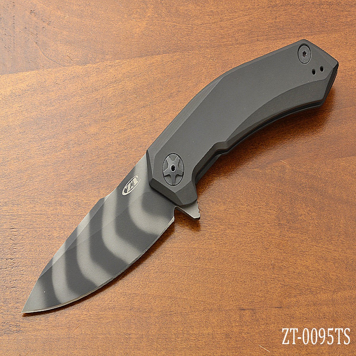 0095TS